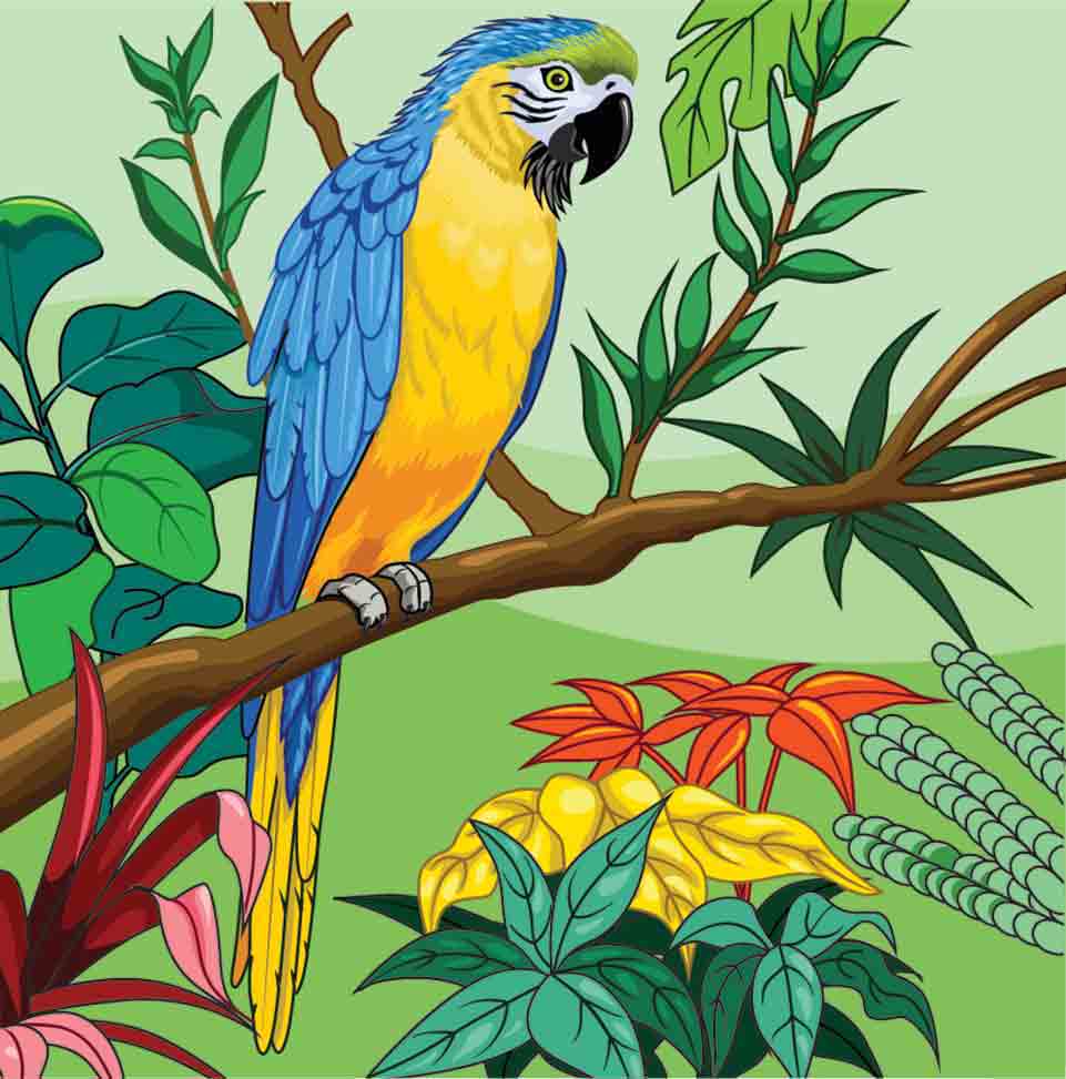 Professional Vector Illustration Portfolio – Maa Illustrations