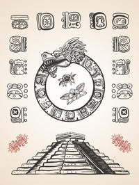 Thumbnail for Archaeological Publication Illustration