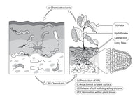 Thumbnail for Chart Regeneration Illustration Design