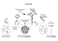 Thumbnail for Chart Creation Drawing Portfolio